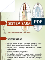 Anatomi Fisiologi Sistem Persarafan