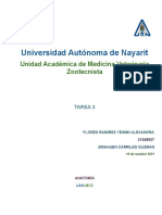 Flores Ramirez Yeimmi Alexandra Tarea 3 Anatomia