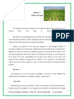 Agricultura Ii Guia Pedagogica 2020-2021