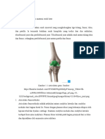 Memahami Anatomi dan Patofisiologi Sendi Lutut