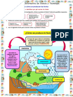 Ficha 10-08-Cyt