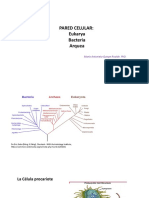 Clase 1. Pared Celular en Bacterias y Arquea