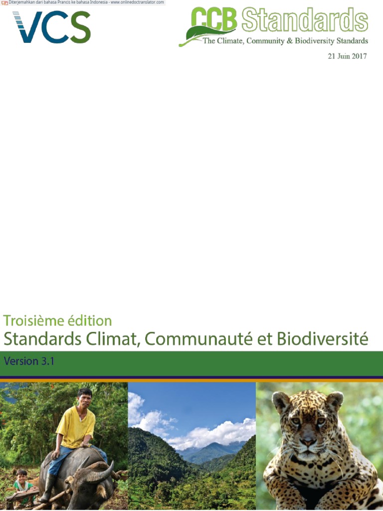 Ccb Standards