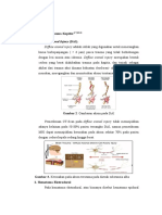 A. Jenis-Jenis Trauma Kapitis: 1. Diffuse Axonal Injury (DAI)