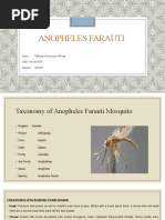 6411419029_Tiffanny Ocktivianie Tobing_Health Entomology