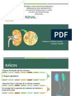 SISTEMA  Renal milvida