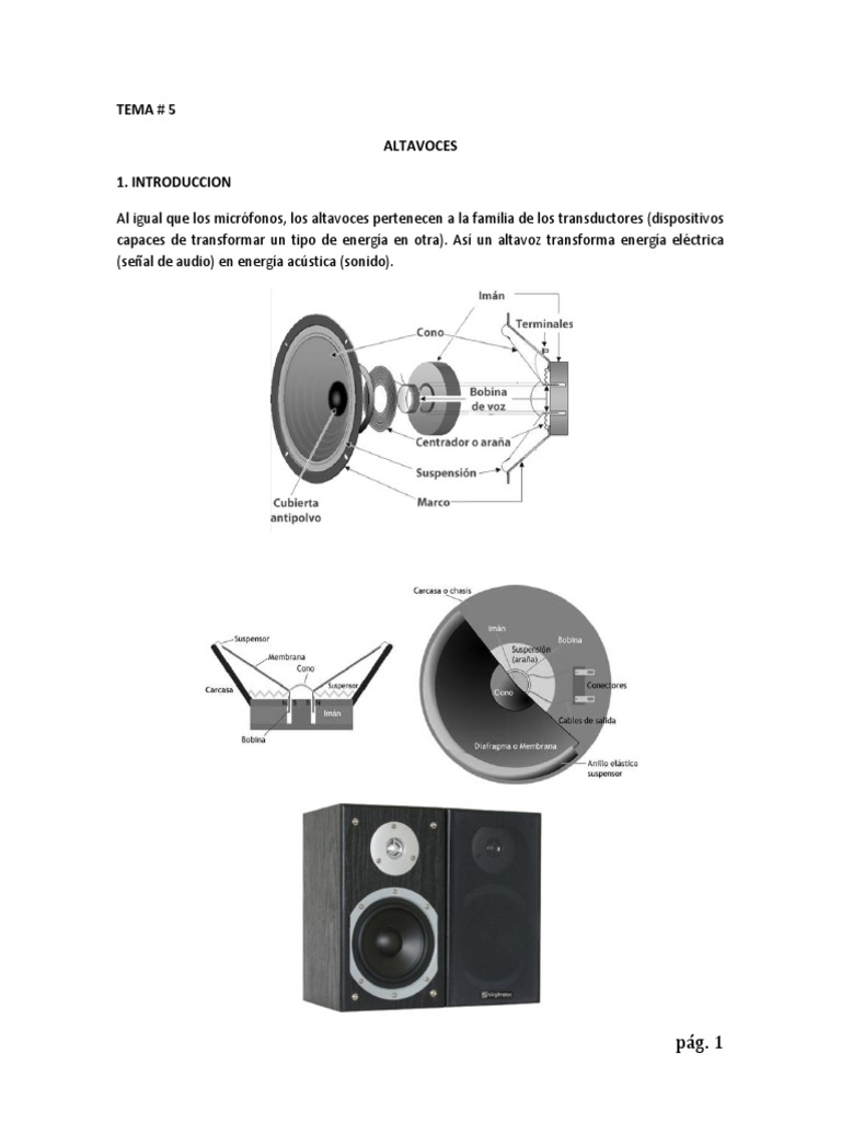 Anatomía del altavoz: Factores que influyen en la calidad del sonido