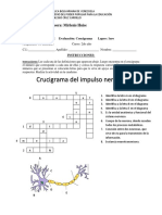 Actividad de Biología de 2do Alo y 4to