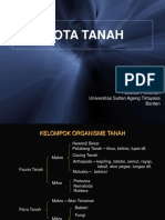 BIOTA TANAH