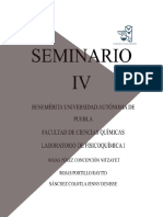 Seminario IV