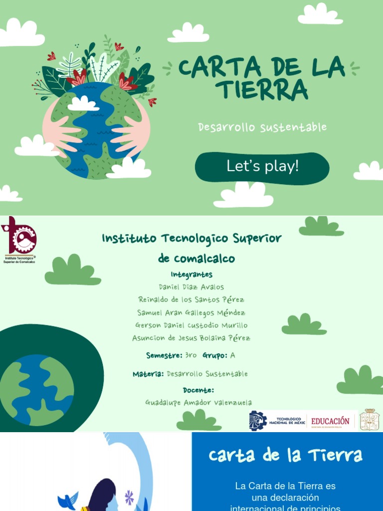 Principios de la Carta de la Tierra | PDF | Sustentabilidad ...