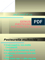 Lecture 26 Pasteurella