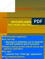 Lecture 31 Mycoplasmas