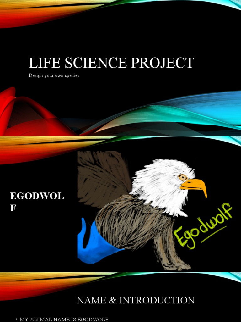 Life Science Project Design Your Own Species PDF