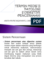 1.termin II-patologi S.digestive