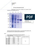 C1 - 182210101058 - Rezalia Asia Putri - Lap Sementara - Produksi Protein Rekombinan Dan Elektroforesis Protein