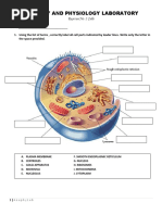 Cells and Tissues