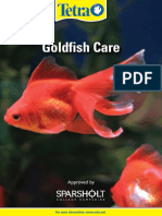 Goldfish Care: Approved by