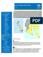 Natural Disaster Risk Profile: Province: Southern Leyte Region: Eastern Visayas (Region VIII)