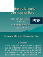 Sindrome Urinario Obstructivo Bajo