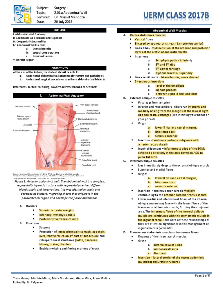 Abdominal Wall Surgery Techniques | PDF | Abdomen | Clinical Medicine