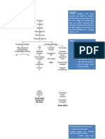 Mind Mapping ANC