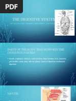 The Digestive System: by William Liang, Kimberly Maldonado, and Julian Smith