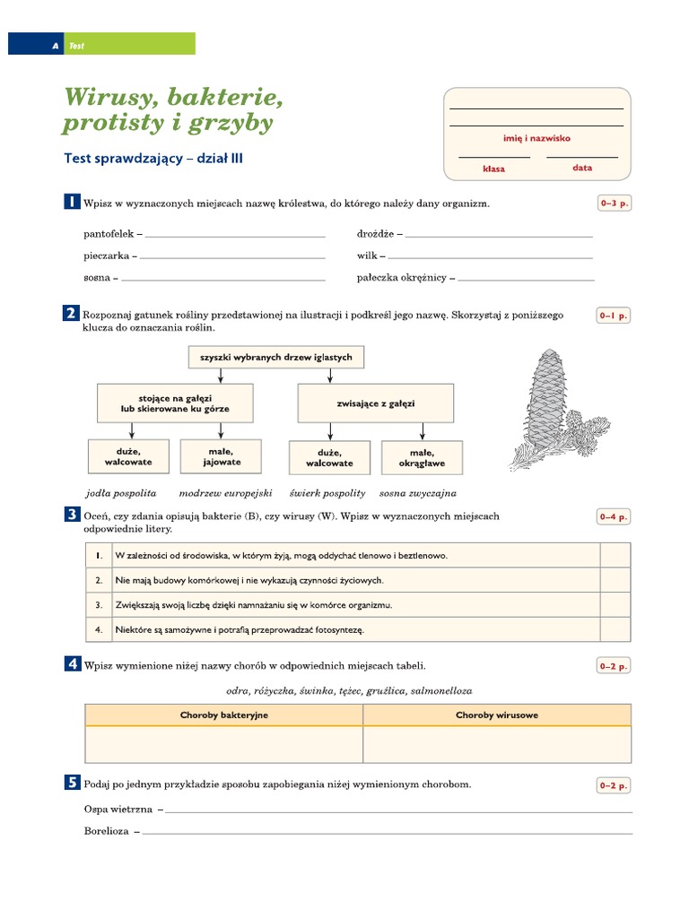 Wirusy Bakterie Protisty I Grzyby Sprawdzian Test Wirusy Bakterie Protisty I Grzyby | PDF