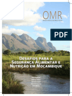 Desafios da segurança alimentar e nutrição em Moçambique