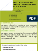 HORMON REPRODUKSI