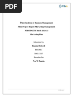 Mini Project Report Marketing Management PDF