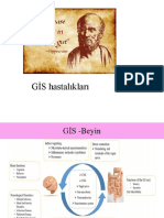 GİS Hastalıkları