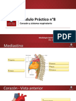 Practico N°8 - Corazon Sistema Respiratorio