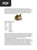 Download Apakah Hamster Itu by GitaKemalaSari SN53937160 doc pdf