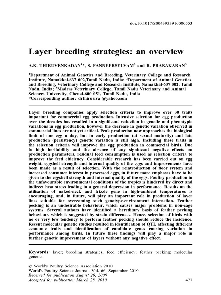 Layer Breeding Strategies: An Overview | PDF | Osteoporosis | Selective ...