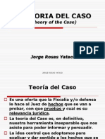 307 Teoria Caso