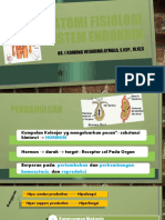 Anfis - Sistem - Endokrin - David 2