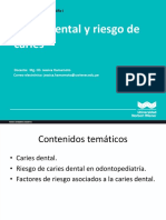 5 Teoría de Caries Dental y Riesgo de Caries 2021-I