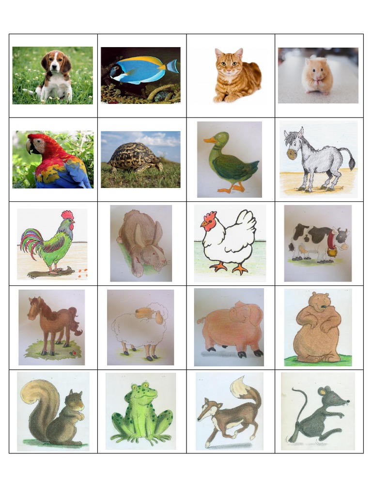 Bildkarten Tiere | PDF