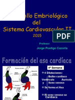 Desarrollo Embriologico Cardiovascular II