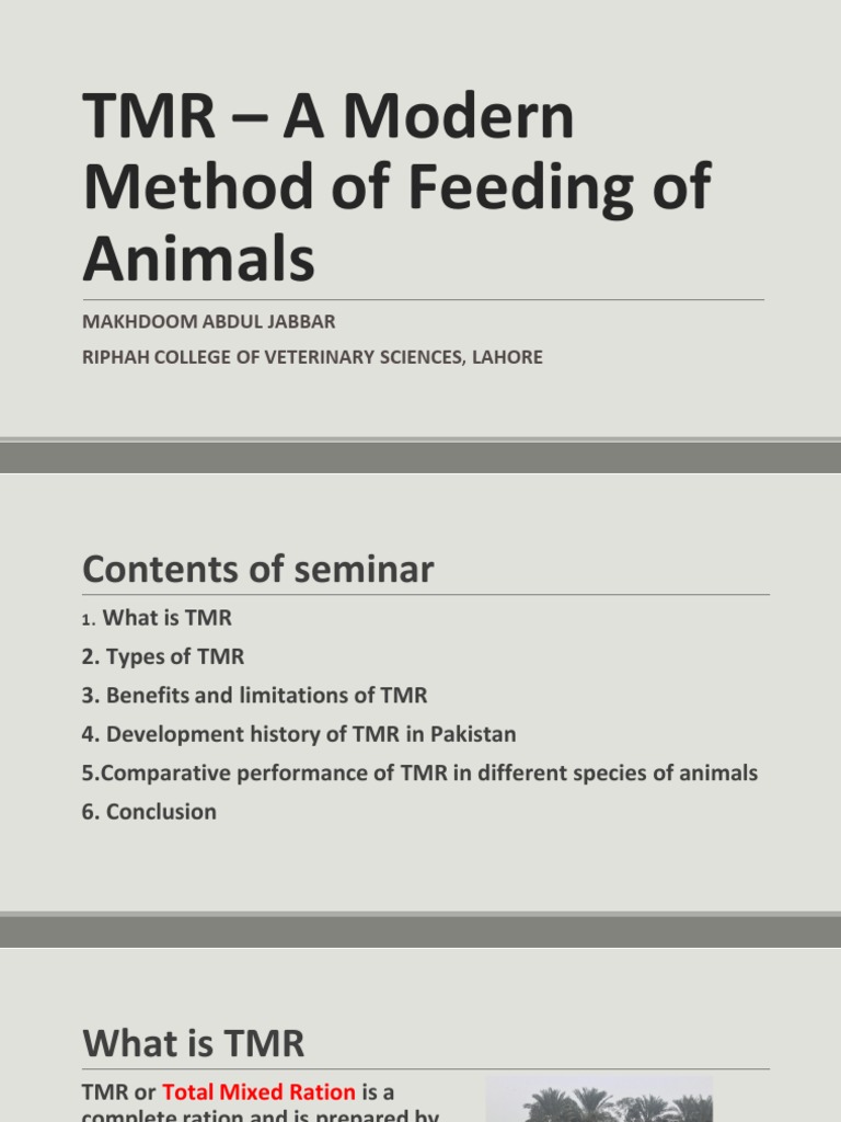 Tmr And Its Use In Dairy And Fattening Pdf Hay Dairy Cattle