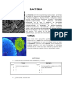 Bacteria y Virus