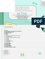 Documentacion Organizacional Actas