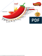 Pimentas-No-Brasil - PNG (Imagem PNG, 947 × 518 Pixels)