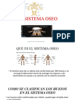 El Sistema Oseo Mariana Grupo Trabajo 4-3