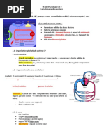Protocole Stanish pour Tendon d'Achille | PDF