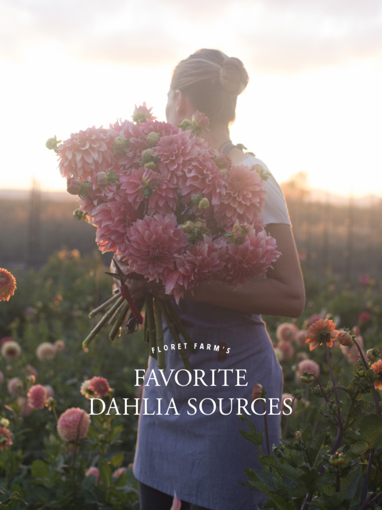 Floret Fall Mini Course Dahlia Sources Updated 211012 PDF Floristry