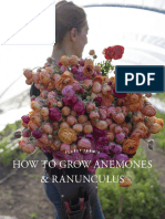 Floret Fall Mini Course How To Grow Anemones and Ranunculus