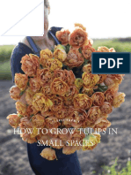 Floret Fall Mini Course How To Grow Tulips in Small Spaces