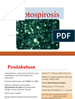 Leptospirosis 2021
